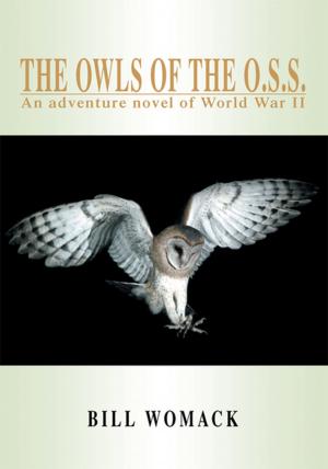 Cover of the book The Owls of the O.S.S. by Mac Goddard