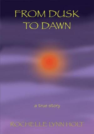 Cover of the book From Dusk to Dawn by Michael Vetter