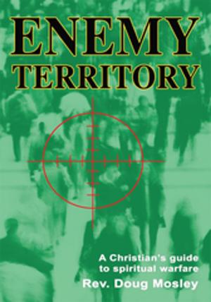 Cover of the book Enemy Territory by Peter Wright