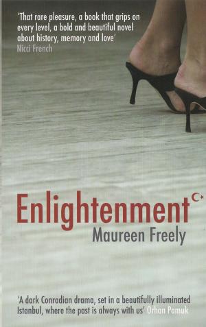 Cover of the book Enlightenment by Judith Williamson