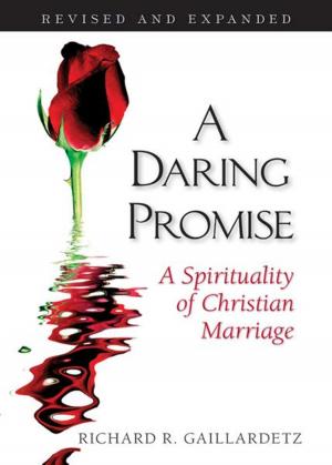 Book cover of A Daring Promise