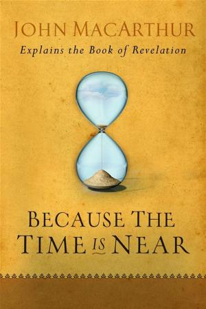 Book cover of Because the Time is Near