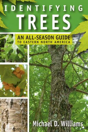 Cover of the book Identifying Trees by Ralph Peters, Owen Parry