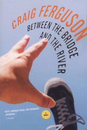 Cover of the book Between the Bridge and the River by Samantha Hahn