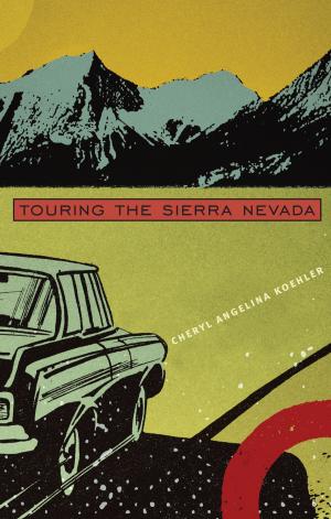 Cover of the book Touring The Sierra Nevada by Stephen J. Leonard, Thomas J. Noel