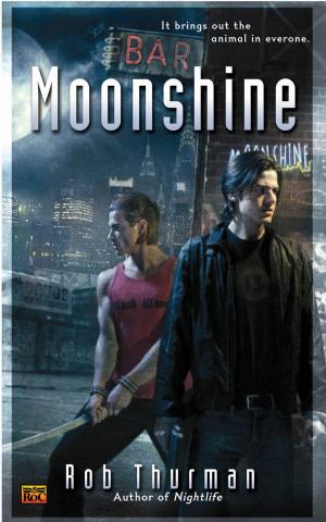 Cover of the book Moonshine by Ann London Fish, Pixelise illustration