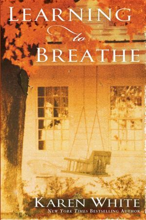 Cover of the book Learning to Breathe by Matteo Pericoli, Lorin Stein