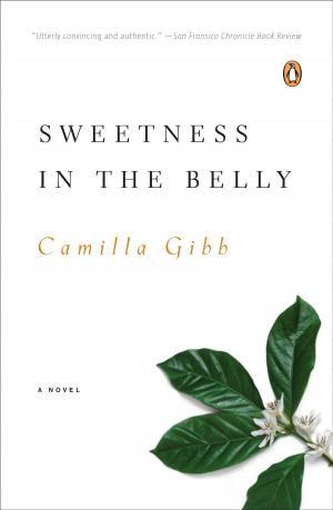 Cover of the book Sweetness in the Belly by Robert Christian Schmitte