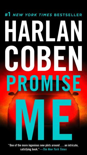 Cover of the book Promise Me by Stephen Hunter
