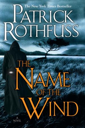 Cover of the book The Name of the Wind by Jacey Bedford