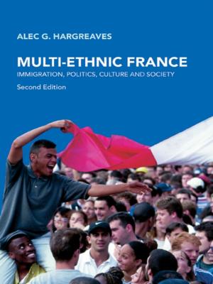 Book cover of Multi-Ethnic France