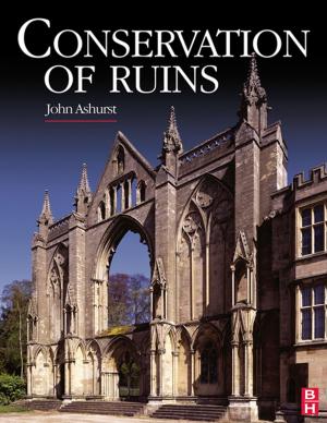 Book cover of Conservation of Ruins