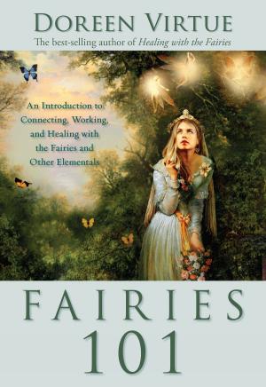 Book cover of Fairies 101