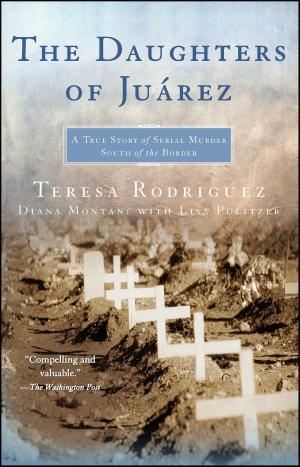 Cover of the book The Daughters of Juarez by Marcus Thompson