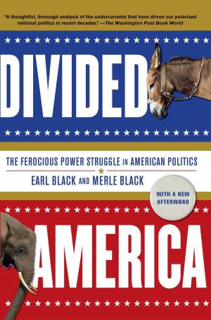 Book cover of Divided America