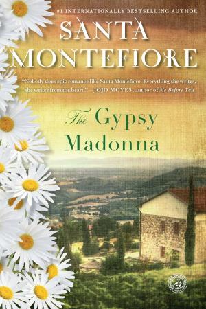 Cover of the book The Gypsy Madonna by Sarah Grace McCandless