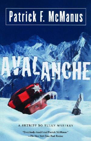 Cover of the book Avalanche by Sophia Shalmiyev