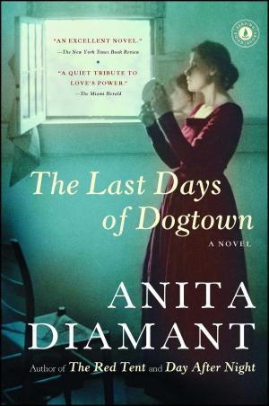Cover of the book The Last Days of Dogtown by Joanna Cannon