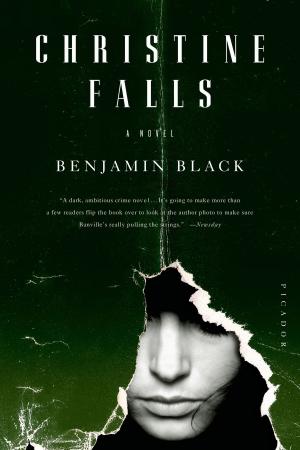 Cover of the book Christine Falls by Alafair Burke