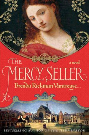 Cover of the book The Mercy Seller by Ben Greenfield
