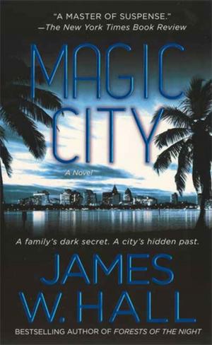 Cover of the book Magic City by Julie Cohen