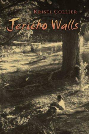 Cover of the book Jericho Walls by Walter Benn Michaels