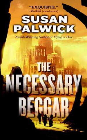 Book cover of The Necessary Beggar
