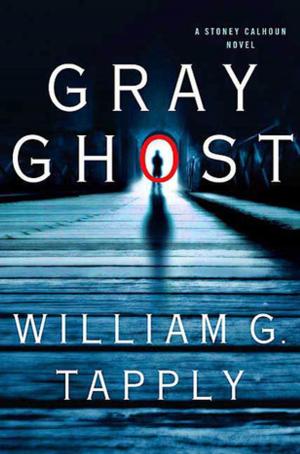 Cover of the book Gray Ghost by Donna Grant