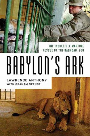 Cover of the book Babylon's Ark by David Evanier