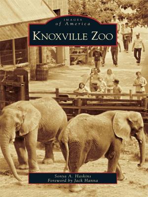 Cover of the book Knoxville Zoo by Paula A. Scott