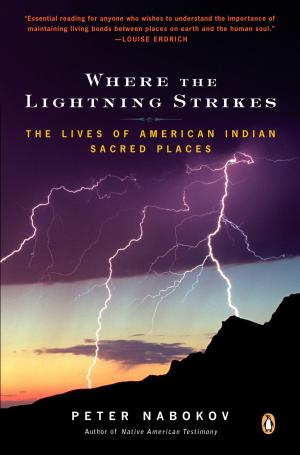 Cover of the book Where the Lightning Strikes by Stephen Davis