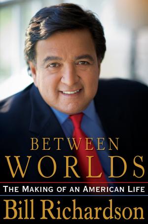 Cover of the book Between Worlds by Leann Sweeney