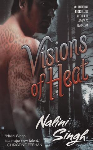 Cover of the book Visions of Heat by Tiffany Shand