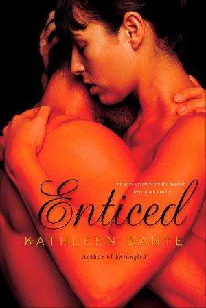 Cover of the book Enticed by Joel Dicker