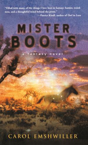 Cover of the book Mister Boots by Adam Hargreaves