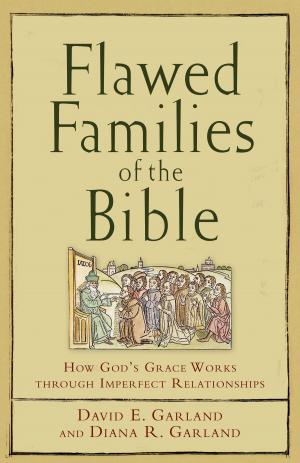 Cover of the book Flawed Families of the Bible by Roberta Kells Dorr