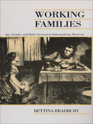 Cover of the book Working Families by Rick Csiernik, Rachel Birnbaum, Barbara Decker  Pierce