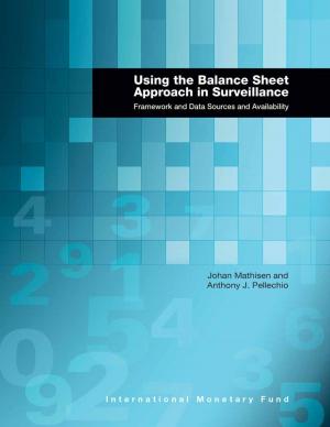 Cover of Using the Balance Sheet Approach in Surveillance: Framework and Data Sources and Availability