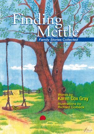Cover of the book Finding Mettle by Robert McMlillan Jr.
