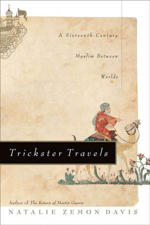 Cover of the book Trickster Travels by Greg Kotis, Mark Hollmann, David Auburn