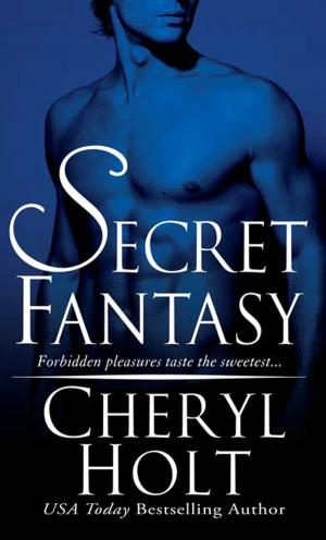 Cover of the book Secret Fantasy by Linda Baten Johnson