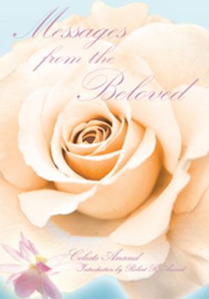 Cover of the book Messages from the Beloved by Kay Salter
