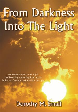 Cover of the book From Darkness into the Light by Pierre King