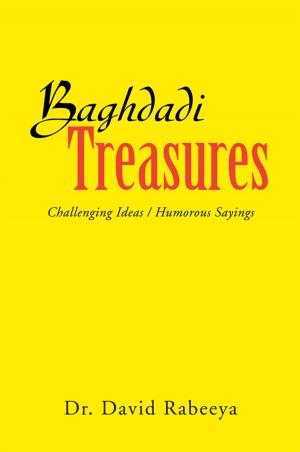Book cover of Baghdadi Treasures