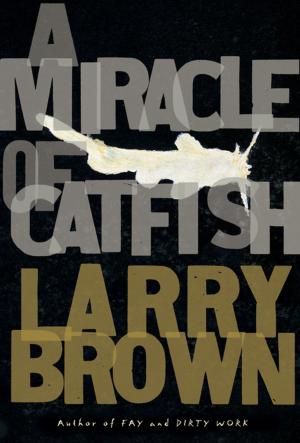 bigCover of the book A Miracle of Catfish by 