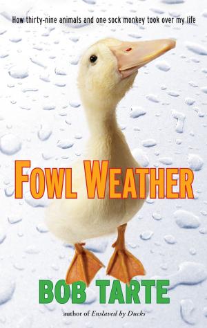 Cover of the book Fowl Weather by Nova Ren Suma