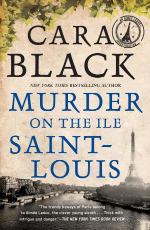 Cover of the book Murder on the Ile Saint-Louis by James Sallis