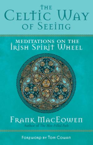 Cover of the book The Celtic Way of Seeing by Kent Nerburn
