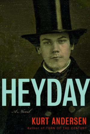 Cover of the book Heyday by Alan Drew
