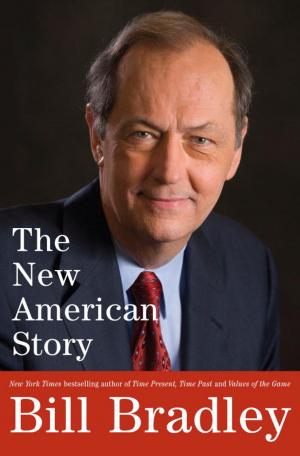 Cover of the book The New American Story by Roger MacBride Allen